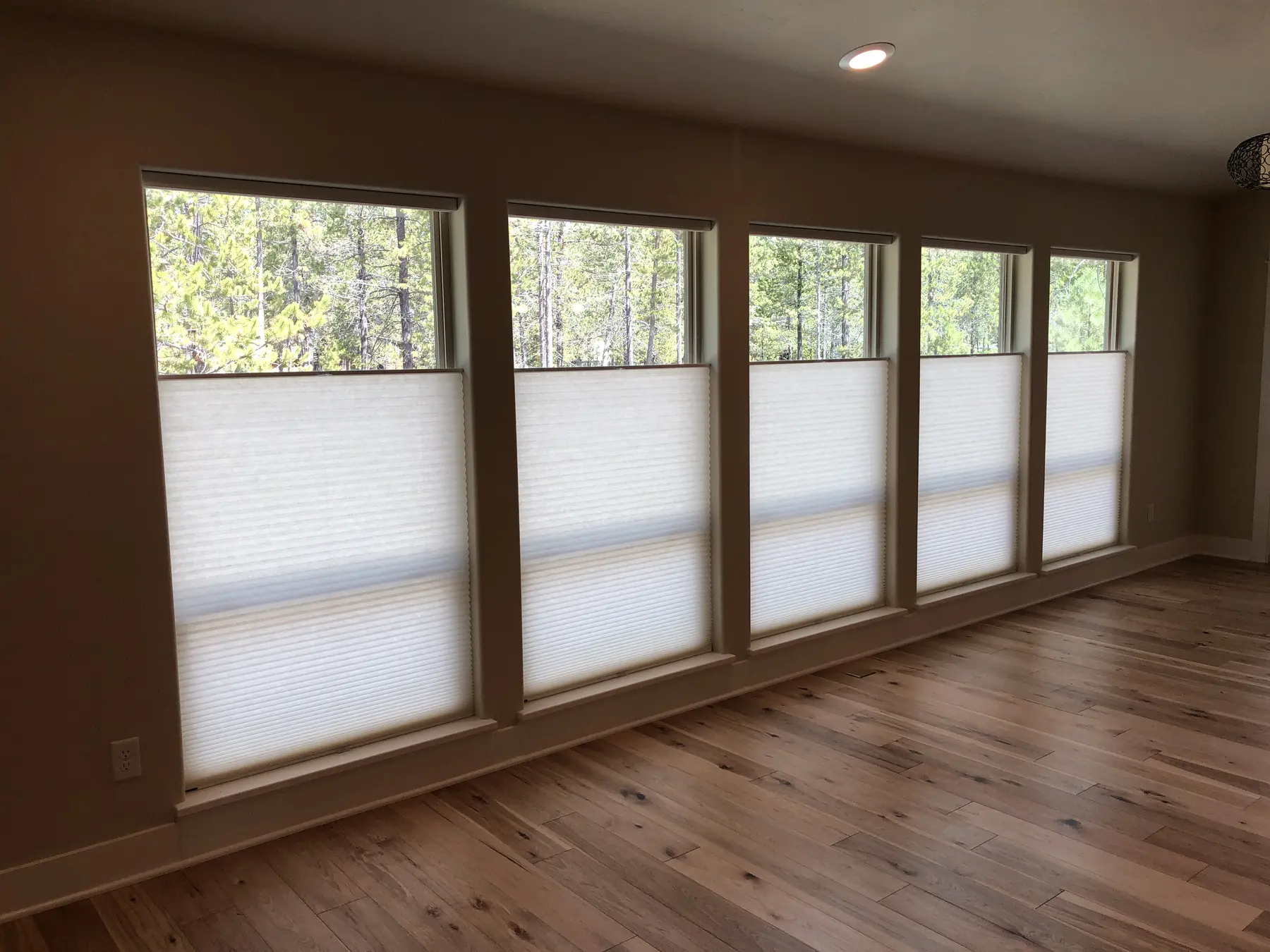 Matching cellular shades across a wall of windows