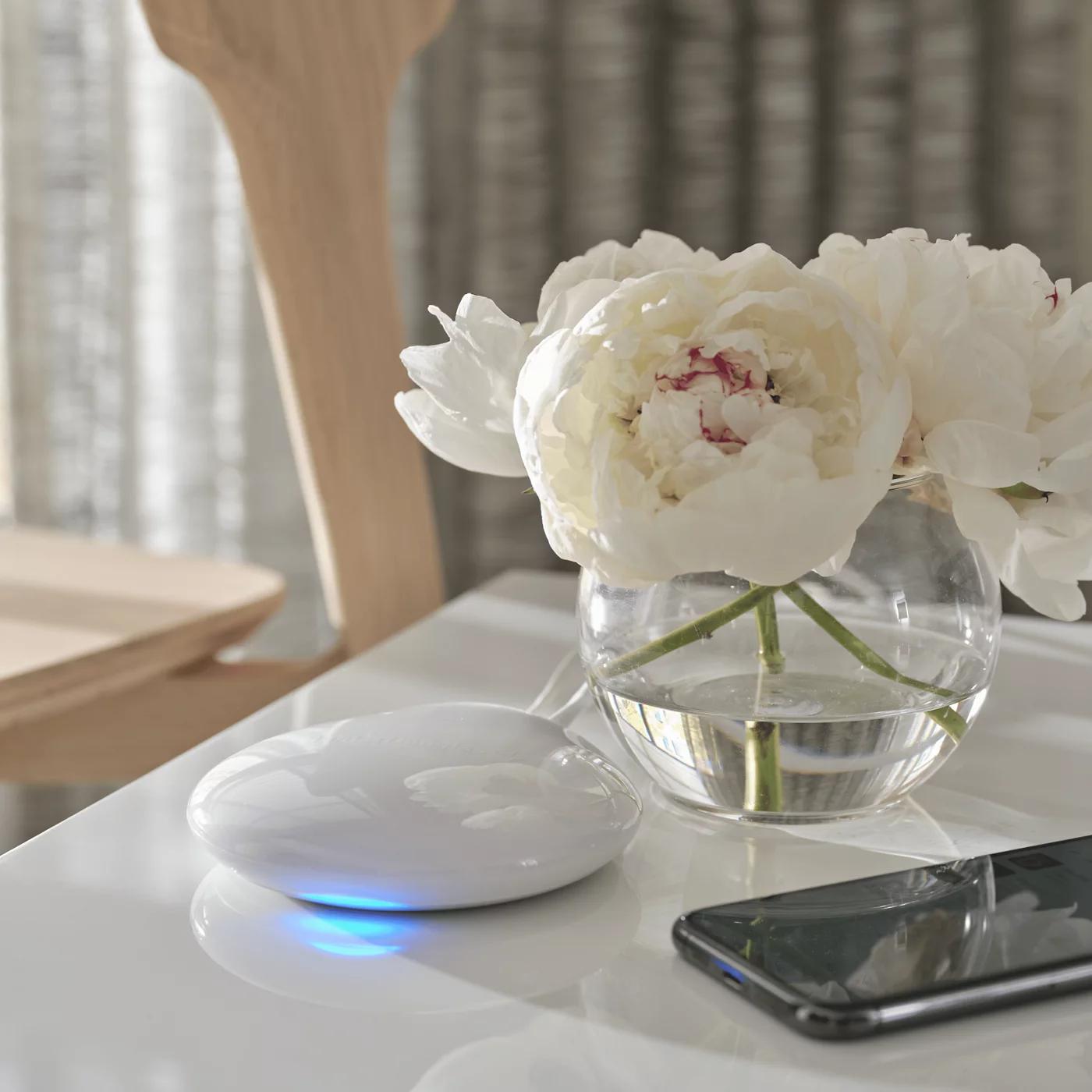 PowerView hub on a table beside flowers and a phone